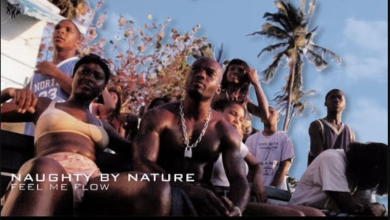 Naughty by Nature Feel Me Flow : Unleashing Musical Vibes
