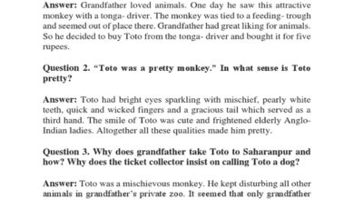 How Does Toto Come to Grandfather'S Private Zoo