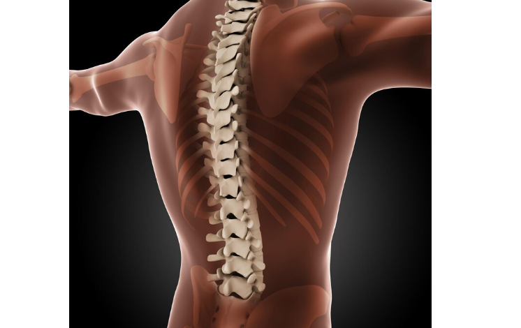 What’s in a Spine? Reasons Your Spine Health Is Important and How You Can Restore It