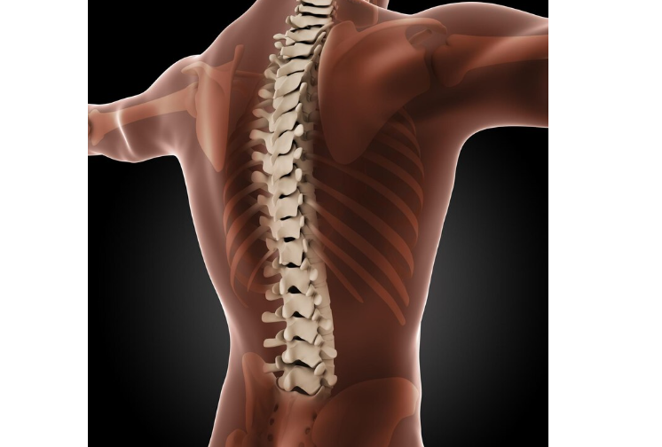 What’s in a Spine? Reasons Your Spine Health Is Important and How You Can Restore It