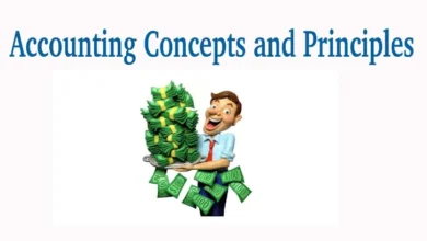 From Income to Insight: Understanding Cash Accounting Entry Principles
