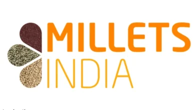 Emerging Technologies in Millet Processing in India in 2024