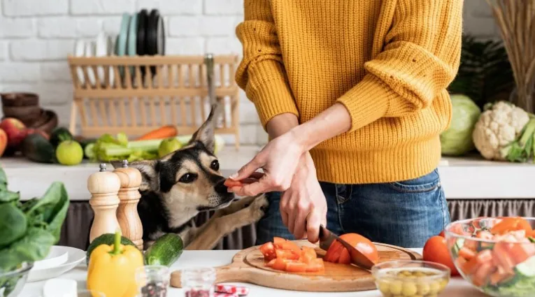 The Rise of Veganism in Pet Care Trends for 2024